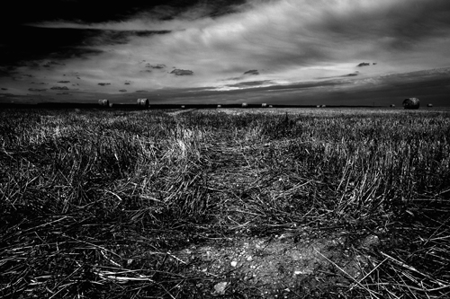 DPP_006