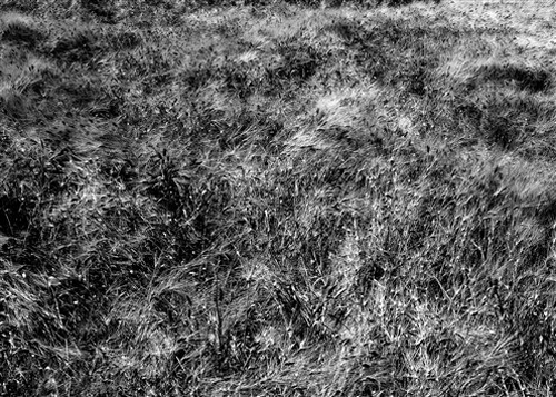 small_DPP_009