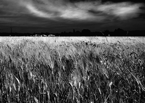 small_DPP_012