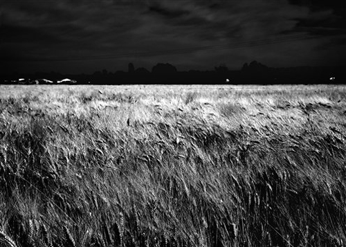 small_DPP_013