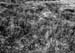 small_DPP_009