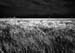small_DPP_013